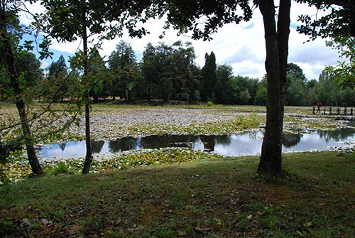 parc_saval.jpg